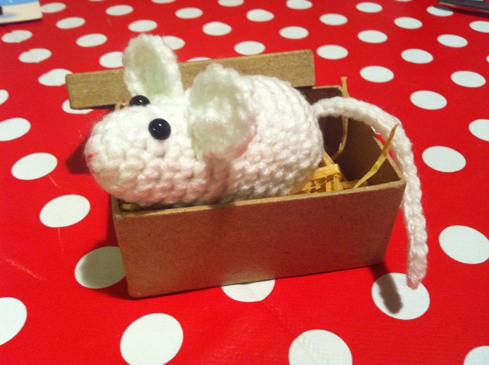 Mouse in a Box Handmade Crochet Toy, Crochet animal stocking filler, birthday keepsake, mouse gifts, cute gifts,